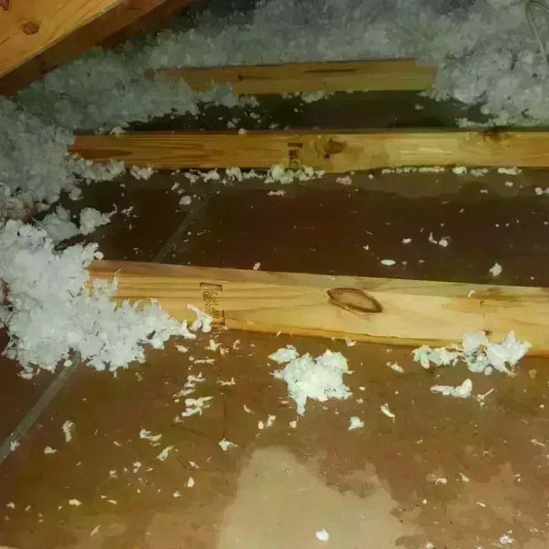 Attic Water Damage in Dimmitt, TX